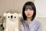 【乃木坂46】中西アルノ「刑務所の面会だなと思ってるアルヨ」リアルミーグリへの感想が正直すぎるwwww