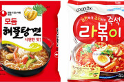 【韓国】「農心」ラーメンから1級発がん性物質検出、基準の148倍！EUが販売中止