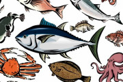 日本人はなんで魚食わなくなってきたの？