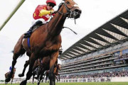プリンスオブウェールズステークス（英・G1） シャフリヤール直線失速、無念4着 ロイヤルアスコット日本馬初Vならず