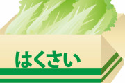 【驚愕】「白菜」さん、とんでもない値段になった結果ｗｗｗｗｗ