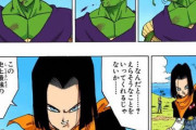【ドラゴンボール】ピッコロ対17号いいよね・・・