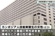 【令和の人身売買】栃木県のイチゴ農家　カンボジアから来た技能実習生に教えていた技能がこれ