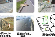 LINEで通報すると道路が補修！国交省「道路緊急ダイヤル」が話題に...通報件数も増加傾向に