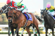 【今年４億円から１年で積み上げ】ジャパンＣと有馬記念の１着本賞金５億円へ