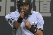 もしかして白井ってNPB審判の中だとまとも？？？