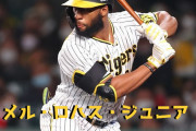 本日5月24日はメル・ロハス・ジュニア 選手32歳の誕生日です。 おめでとうございます。