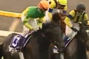 ジャパンカップと有馬記念両方勝つ馬は名馬