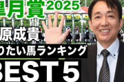 田原成貴さんが皐月賞で乗りたい馬ランキングBest5