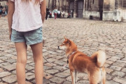 【画像】柴犬、パリの町並みに溶け込んでしまう