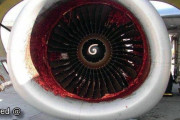 【閲覧注意】飛行機のエンジンに人が入っちゃった結果・・・