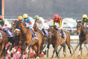 【絶望】競馬に全財産（1020万円）注ぎ込んだら終わった・・・