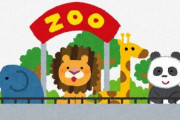 【悲報】俺氏、デートで動物園きたけど彼女が「くさーい」って言い出して喧嘩した