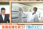 マスゴミさん、「コオロギは陸のエビ！」でゴリ押そうとするも見事炎上