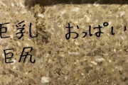 【悲報】女さん「駅の女性トイレにこんな落書きが…絶対男が侵入して書いてるだろ」→結果