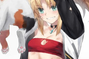 【FGO】猫と戯れるモーさん！！　傷だらけだなｗ