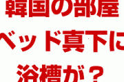 【画像】韓国のマンションはベッドの真下に浴槽がある！？　バルコニーに台所？どういうこと？