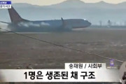 【緊急速報】動画　韓国国際空港で旅客機墜落「フェンス外壁に衝突か」　乗客乗員181人　死者多数