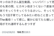 【悲報】ヒカキンの母親、ボコボコに叩かれ始める……