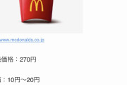 【悲報】マクドナルドのポテトの原価、マジでヤバいｗｗｗｗｗｗｗｗｗｗ