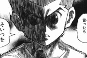 【ハンターハンター】キメラアント編のゴンって主人公なのにウザすぎない？？？