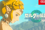【本日発売】「ゼルダの伝説 Tears of the Kingdom」 11時間やったんだけど絶望してる