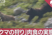クマ擁護派ママ達「青森、秋田、岩手の農産品不買運動を立ち上げましょう！」