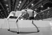2026年のワールドカップではロボット犬が警備を担当