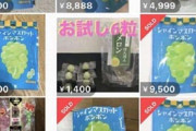 〈転売価格は100倍にも〉爆売れ氷菓子「シャインマスカットボンボン」…「どこにもない」「反抗期の娘に頼まれたけど見つからないよ」販売担当者は「再販するかも未定です」