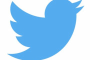 彡(゜)(゜)「twitterで検索してみろ。こんなことで批判してるのは日本人だけ」