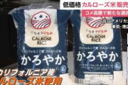 【速報】イオンが米カリフォルニア産カルローズ販売へ！4キロあたり2680円　 ネット「なぜ5kgで売らないのか」「おトクなように見えて1kg少ない」