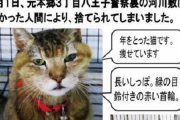 市民「迷い猫がいました」警察官「お預かりします」→警察官河川敷に行き猫を解放→批判殺到
