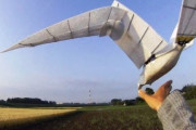 【飛行】鳥のように飛べる飛行機、「ピジョンボット」で実現に一歩前進　手首と指の操作で安定した急旋回に成功　（動画あり）