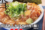 【画像あり】うわぁー、こんなあんかけカツ丼、見たことあるか