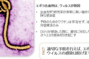 国立感染症研究所『東京の武蔵村山でエボラを使った実験やるから お漏らしはしないと思います多分』