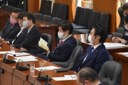【悲報】自民党議員さん、審議をサボってワニ動画の次は小説を読んでしまう