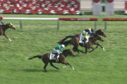 【競馬】結局血統って何の意味もないんだね