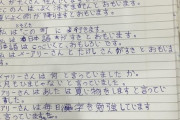 外国人「日本語の勉強をしてるので自分の手書きの字を評価してほしい」