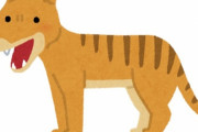 【科学】絶滅種フクロオオカミ（タスマニアタイガー）の130年前の標本からRNA抽出に世界で初めて成功 「絶滅種復活のための一歩」