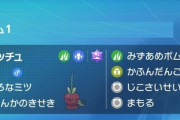 【ポケモンSV】新ポケ「カミッチュ」進化する事が確定。しんかのきせきが適用される