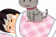 猫に朝５時に起こされる・・・