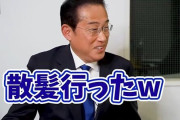 岸田文雄さん「総理大臣の時になんか爆弾投げられてさ～ｗ 転がってきた爆弾見て『あっ』て思ってｗ でもそのあと散髪行ったんだよね～ｗ　アハハｗｗｗ」