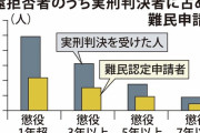 【日本人を襲う外国人】入館施設に収容された不法滞在外国人→弁護士や支援者「私が外国人７８７人の身元保証人になります！」→仮放免で脱走させ１９５人が行方不明に