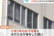 子供の「健全育成」担う指導員、小学5年の女児にみだらな行為で逮捕