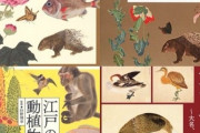 韓国人「日本江戸時代の動物図鑑のクオリティが衝撃的だったので紹介させてくれ」