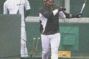 阪神・サンズ＆マルテ　合流初日からフリー打撃で柵越え披露