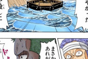 【ワンピース】鷹の目のミホーク、協定外が多すぎるｗｗｗｗｗｗｗｗ