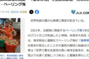 【悲報】ベーリング海で異変 ｢亜寒帯化｣でカニ100億匹死滅