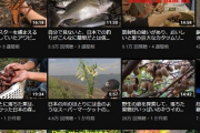 【速報】例のベトナム人、動画を全部削除する！