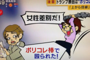 お前ら「ポリコレブスをゲームに出すな！」←何でそんなに美男美女に拘ってるの？